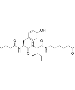 Alternative view of Peptide nootropics 99% dihexa